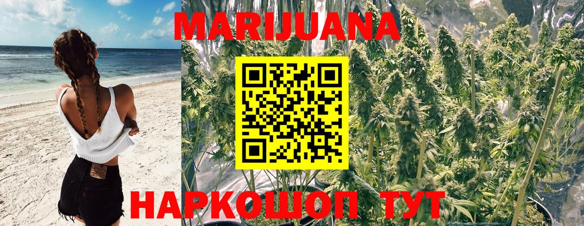 Канабис OG Kush Губкинский